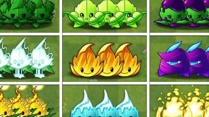 植物大战僵尸最强植物是什么植物2