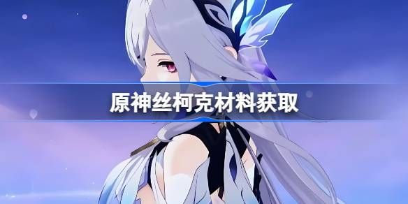 原神丝柯克材料在哪里获取1