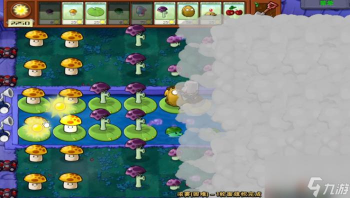 植物大战僵尸攻略图解3