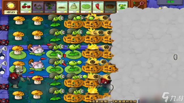 植物大战僵尸攻略图解11