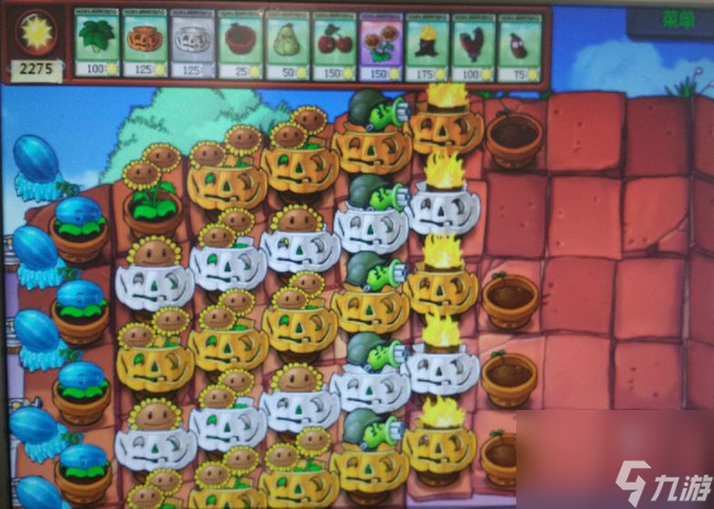 植物大战僵尸屋顶大块头和气球怎么过关3