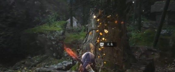 黑神话悟空落伽香藤怎么采集5