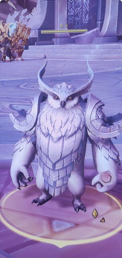 魔兽世界人以群分任务接不了怎么回事2