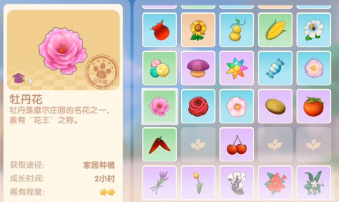 摩尔庄园花车怎么获得2