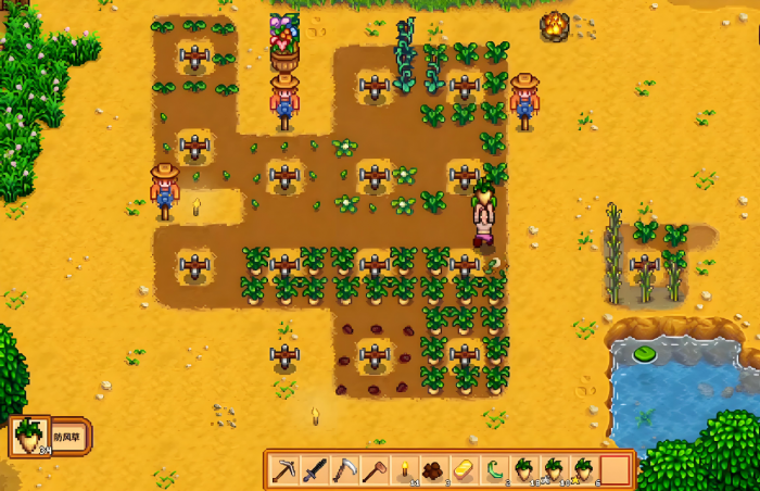 星露谷物语第一天干什么2