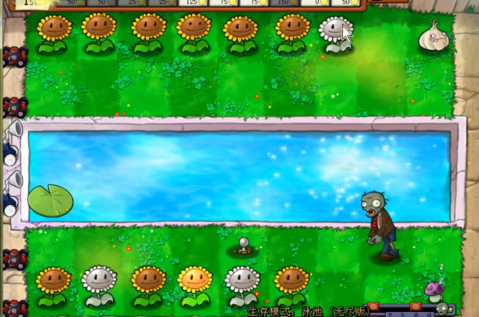 植物大战僵尸泳池无尽怎么玩1