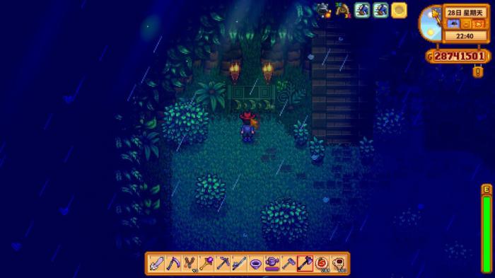 星露谷物语神庙怎么进3