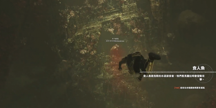 古墓丽影食人鱼怎么过1