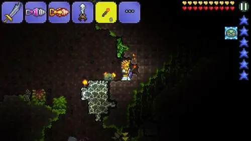 穿透墙壁的技巧有哪些在泰拉瑞亚1