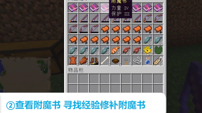 我的世界种子的实际应用是什么1