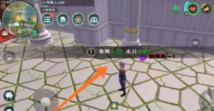 创造与魔法纳坦果有什么用2