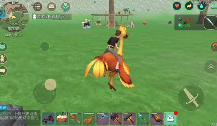 创造与魔法陆行鸟吃什么饲料3