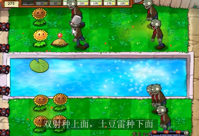植物大战僵尸95版31