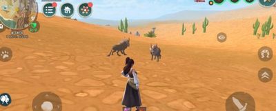 创造与魔法新手战宠狼怎么捉1