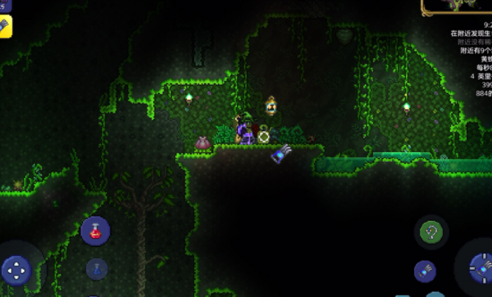 泰拉瑞亚小夜花怎么种植1