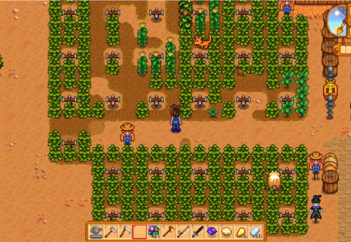 星露谷物语杨桃怎么卖3