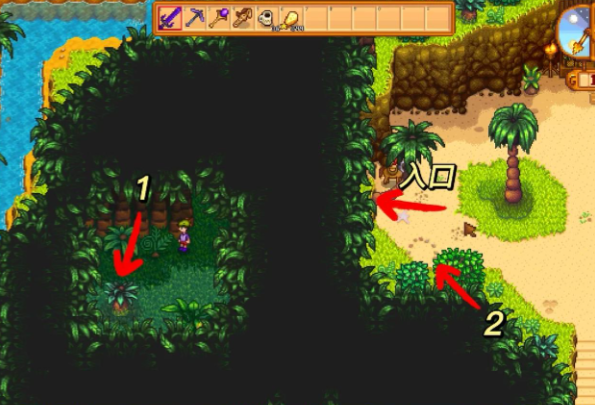 星露谷物语姜岛怎么去1