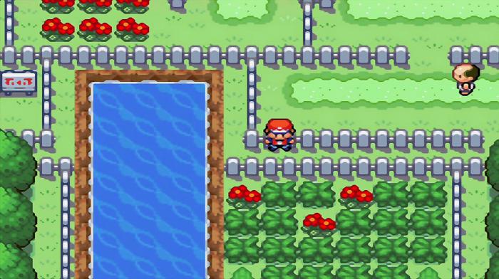 口袋妖怪火红冰洞怎么走3