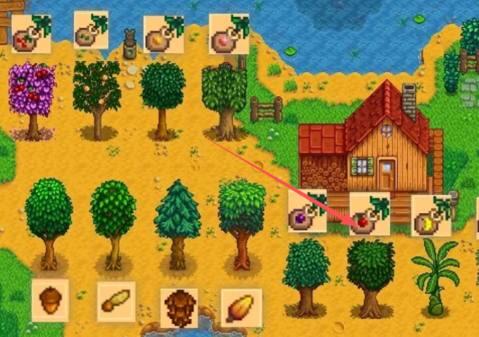 星露谷物语苹果树怎么种2