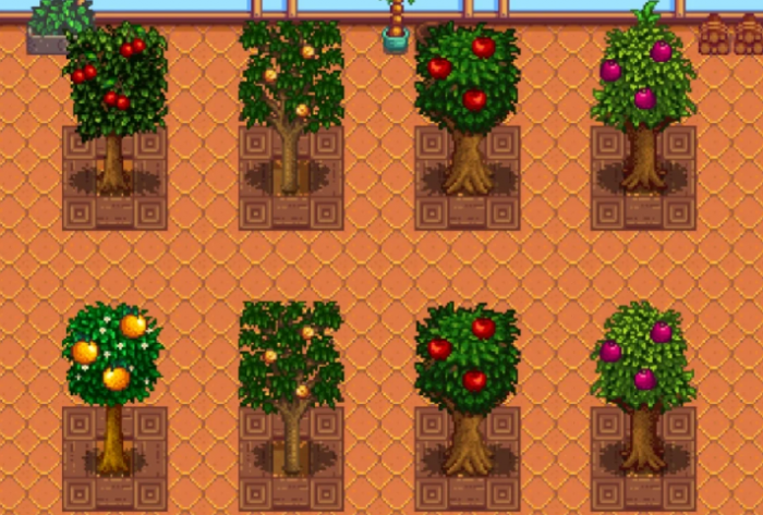 星露谷物语苹果树怎么种3