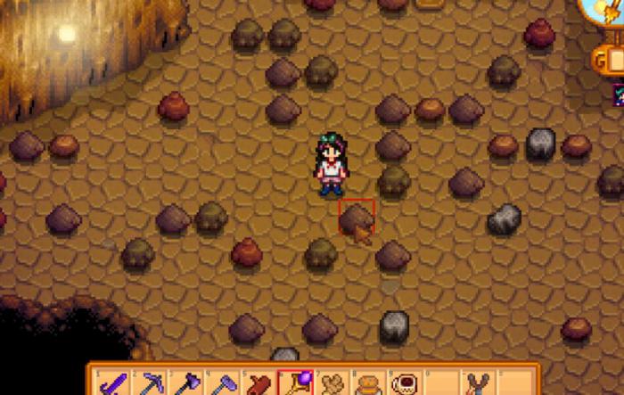 星露谷物语自动抚摩机在哪里2