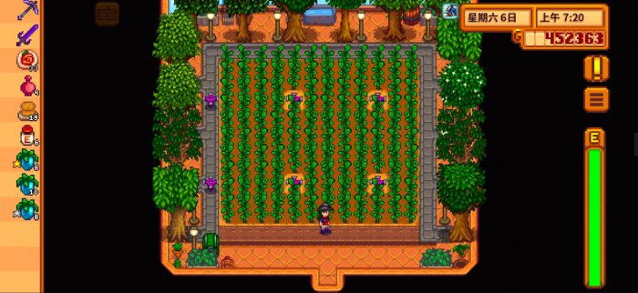 星露谷物语酿酒桶怎么弄2