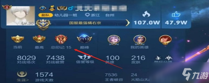 王者印记_王者印记是什么意思